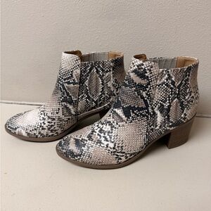 Qupid Snakeskin Ankle Booties - Black and Cream